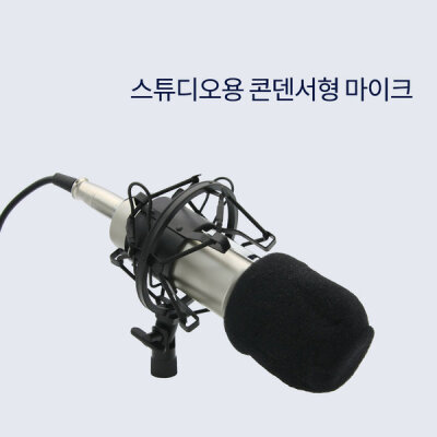Radio/Studio/Condenser/Microphone/For Expert/APBS986