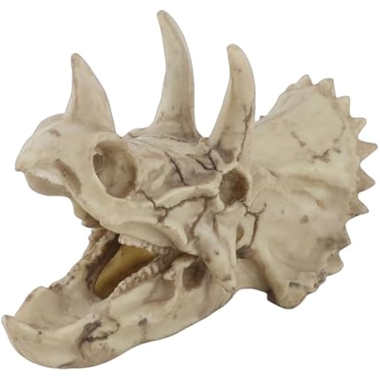 Dinosaur Triceratops Skull Model Simulated Skeleton, Lifelike and Vivid Craft for Office or Home Decoration, Present for Dinosaur Enthusiast