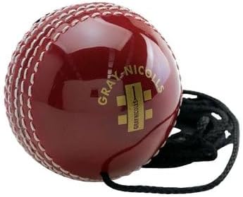 Gray-Nicolls Batting Master Hanging Ball Leather Cricket Training Ball | Develop Batting Skills & Hand-Eye Coordination | Beginner to Advanced