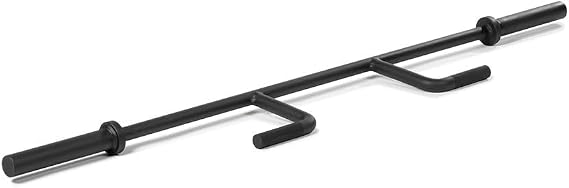 Titan Fitness Seal Row Bar, 700 LB Capacity, Olympic Weight Plates, 34MM Knurled Handles