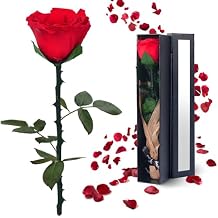 Preserved Flowers Gifts for Women: Valentines Day Mothers Day Birthday Christmas Anniversary Wedding Gift for Mom Girlfriend Wife Grandma Forever Rose for Her Red Single Rose