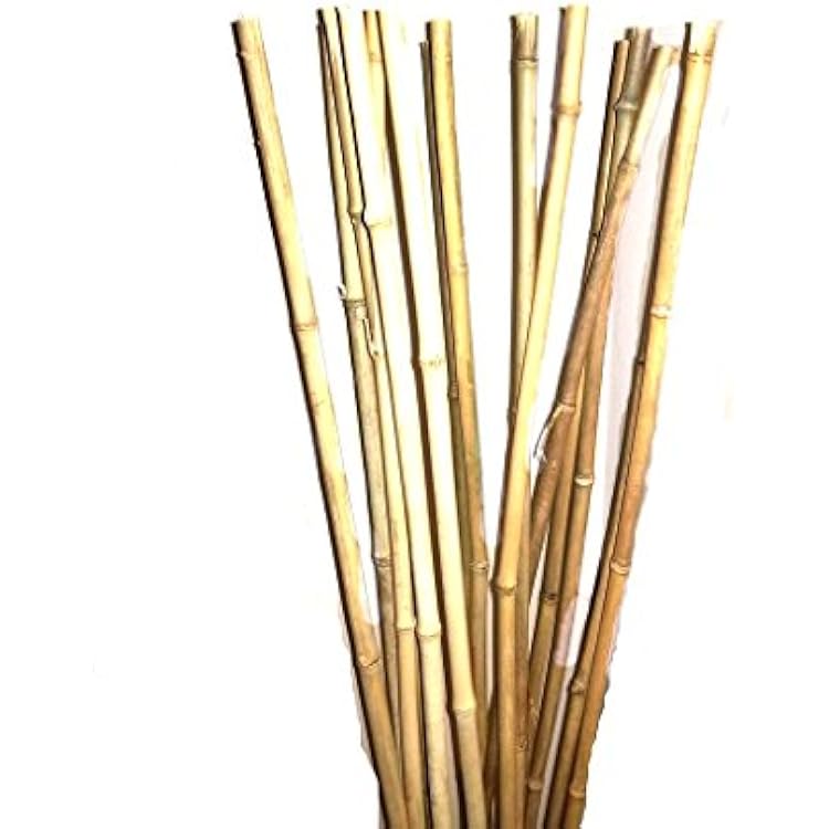 Empire Home Natural Thick Bamboo Stakes 5 Feet Tall About Half Inch Diameter - Pack of 8 Natural Yellow