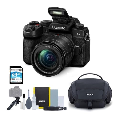 Panasonic LUMIX G97 Micro Four Thirds Mirrorless Camera Black with a 12-60mm Lens Bundle with Nostrand Avenue Camera System Gadget Bag with Accessory and Cleaning Kit and 64GB Memory Card 3 Items