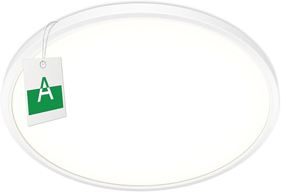 Bzavor LED Ceiling Light Efficiency Class A 210 lm/w 4000 K 11 W 2600 lm Round Diameter 30 cm LED Ceiling Light Flat IP54 Waterproof Lamp Panel for Kitchen Living Room Bathroom Hallway Bedroom White Ultra Thin [Energy Class A]