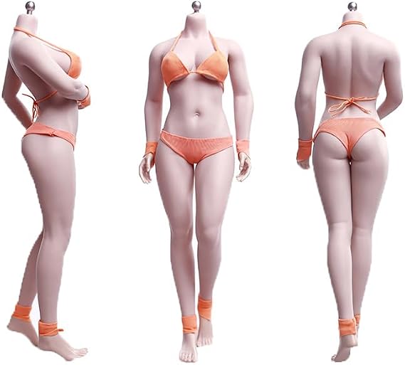 1/6 Scale Female Body,12inch Super Flexible Medium Bust Buxom Version Female Seamless Action Figure Body Collection (S28A Pale Skin)