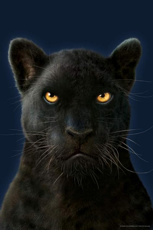 Black Panther by Vincent Hie Panther Pictures Wall Decor Jungle Animal Pictures for Wall Posters Of Wild Animals Jungle Jaguar Print Decor Animal Wall Decor Puma Cool Wall Art Print Poster 12x18