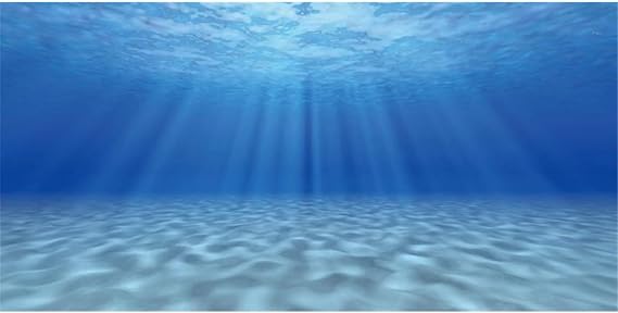 AWERT Undersea Aquarium Backdrop Sunshine Fish Tank Background 24x12 inches | Ocean Floor Underwater World Vinyl Background