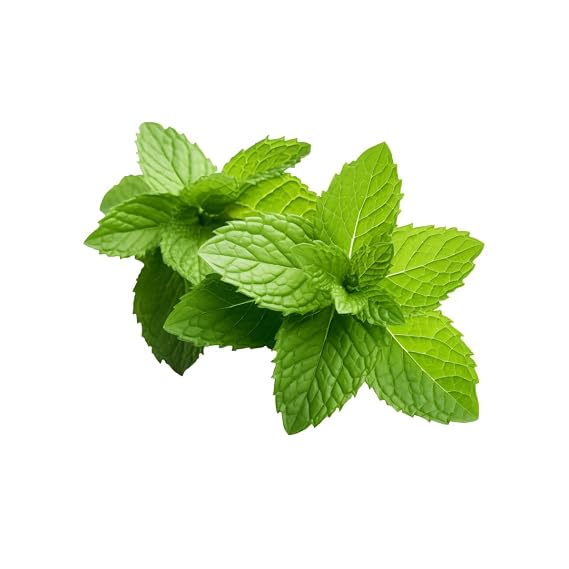 Spearmint Flavoring PG Based / 8 oz