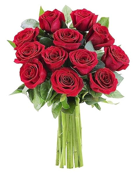 KaBloom-12 Red Rose Bouquet, Flowers for Valentine, Mother's Day