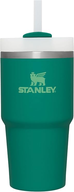 STANLEY Quencher H2.0 Tumbler with Straw 20 oz | Flowstate 3-Position Lid | Cup Holder Compatible for Travel | Insulated Stainless Steel Cup | BPA-Free | Alpine