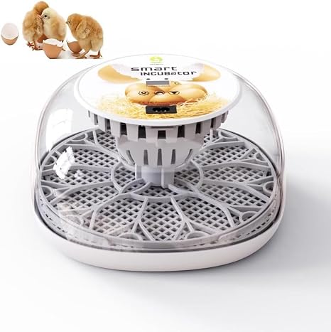 Incubator 12 Eggs Hatcher, Automatic Digital Hatching Eggs with Fully Automatic Inverter, Automatic Temperature Control, Poultry Hatching Machine with Humidity Control, For Children Education, Home