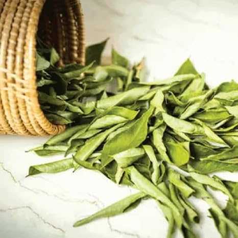 Fresh dried Curry Leaves, Traditional Indian Cooking Herb, Raw and Natural