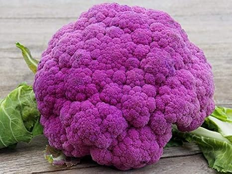 Seeds Vegetable Cauliflower Purple Cabbage - 100 Seeds