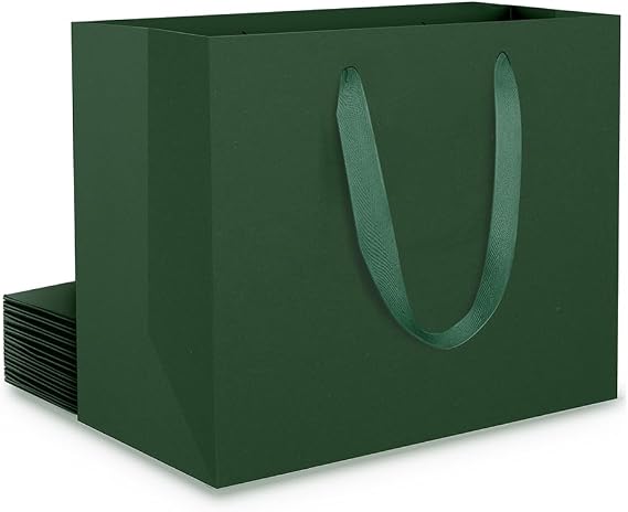 EUSOAR Gift Bag Green - Pack of 10 Paper Gift Bags Small Green S 22 x 10 x 18 cm - 230 GSM Paper Bags Dark Green - Gift Bag Green for Christmas Birthday Weddings