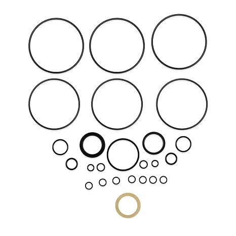 60540/60540-000 Seal Kit,Oil & Temperature Resistance,1Set