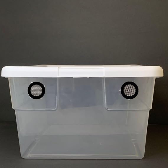 16 Quart Vented Vivarium Terrarium Box 2 Black Vents Isopod Enclosure, Reptile Habitat, Cricket Container, Dubia Roach Bin & Invertebrate Housing