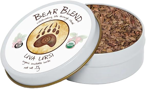 Uva Ursi, Bearberry, Kinnikinnick, Smokable Herbs from Bear Blend