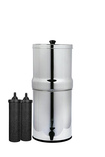 AquaEasy Stainless Steel Gravity Water Filter System (2.25 Gallon) with 2X Activated Carbon Filter, Countertop Water Filtration System (Lite)