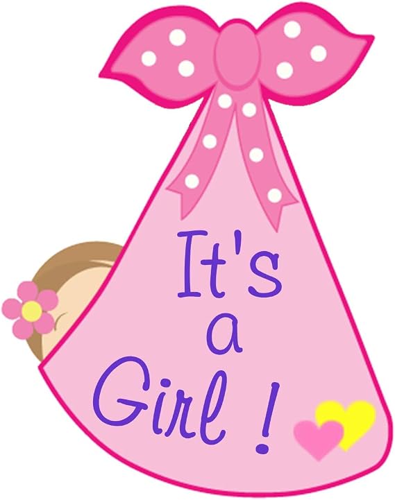 It's a Girl Door Sign Hanger, Pink