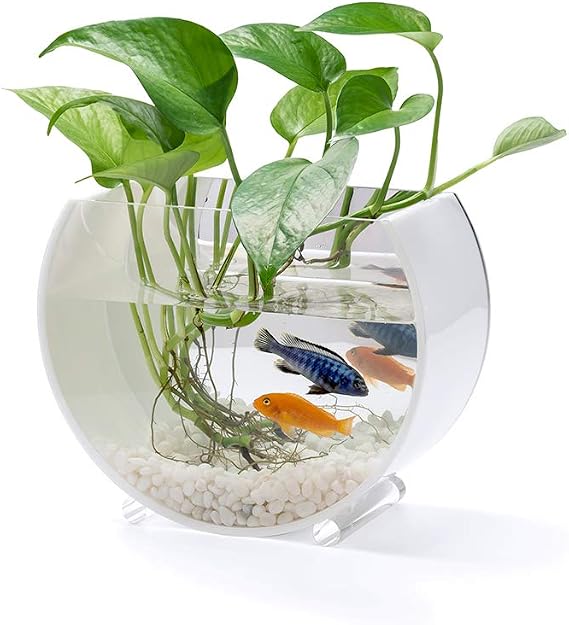 Desktop Mini Fish Tank, Acrylic Aquarium Fish Bowl Betta Fish Decoration Accessories Water Tank