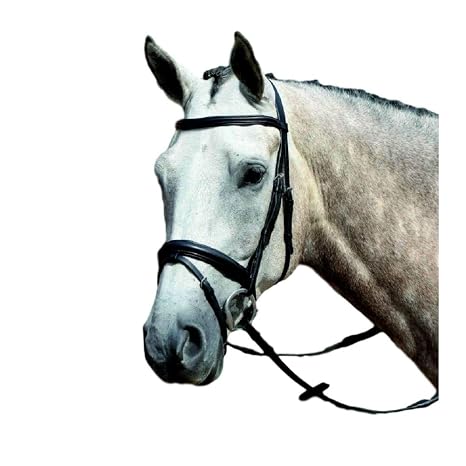 Collegiate Essential Padded Raised Flash Bridle, Black, Cob