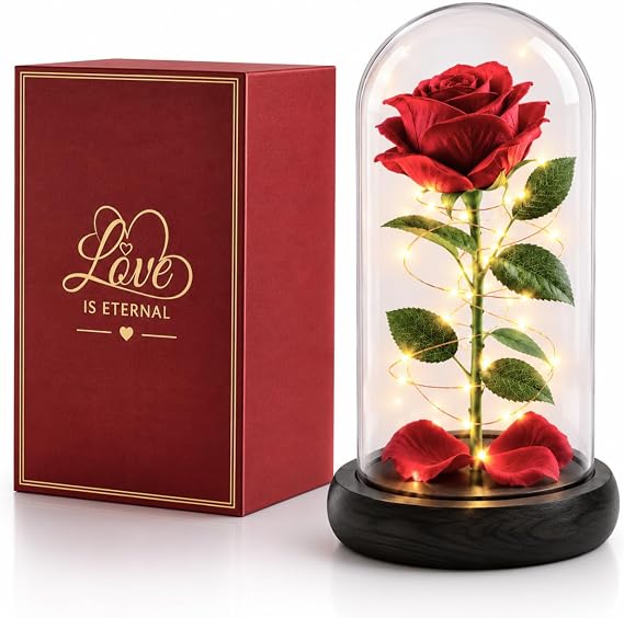 Norcalway Premium Rose in Glass Dome with 6hr Timer - Birthday Gifts for Women, Mom from Daughter, Son, Kids - Beauty and The Beast Rose in a Glass Dome for Decorations
