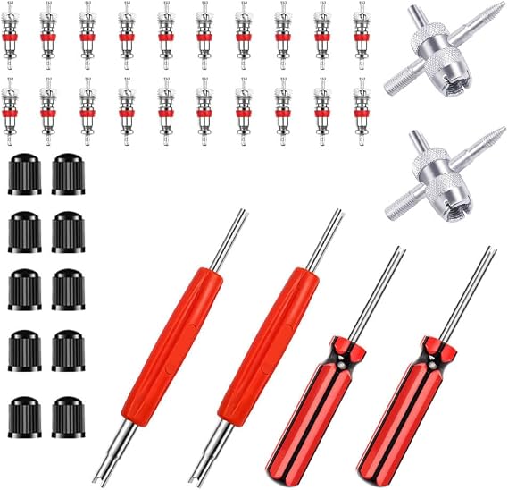 Riseuvo 36Pcs Tire Valve Stem Removal Tool Kit | Single and dual-head valve core removal tool, 4-way tool, 10 valve stem caps and 20 valve cores for cars, trucks and bikes