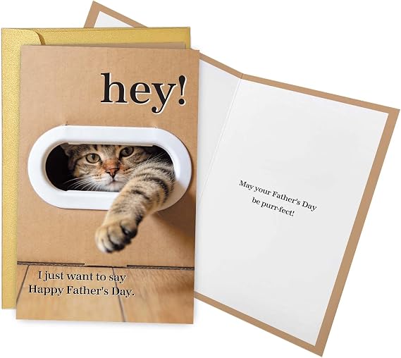 Qiliji Funny Cat Father's Day Card for Men, Cute Father's Day Card for Cat Lover, Cats Fathers Day Cards Gifts from Wife Daughter Son, Hey I Just Want to Say Happy Father's Day