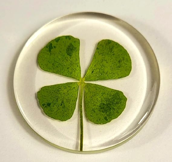 33mm Real Four Leaf Clover Shamrock in Round Crystal Clear Lucite Resin Token Specimen St.Patrick's Day "Lucky Leaf" Coin Gift Crafts Collection for Botany Science Education & Desk Ornament Display