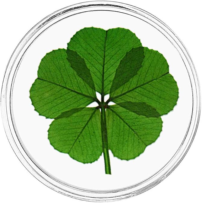 Five Leaf Clover Clear Acrylic Token | Good Luck Charm, For Pocket or Wallet