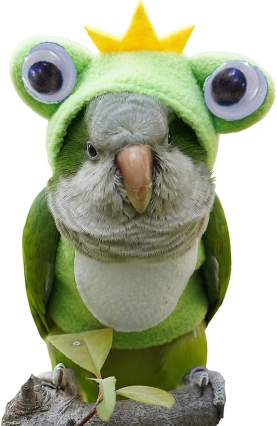 Parrot Clothes Bird Costume Flight Suit, Cute Frog Costume Cosplay Photo Prop Hoodie for African Grey Parakeet Cockatiel Macaw (Green,2XL)