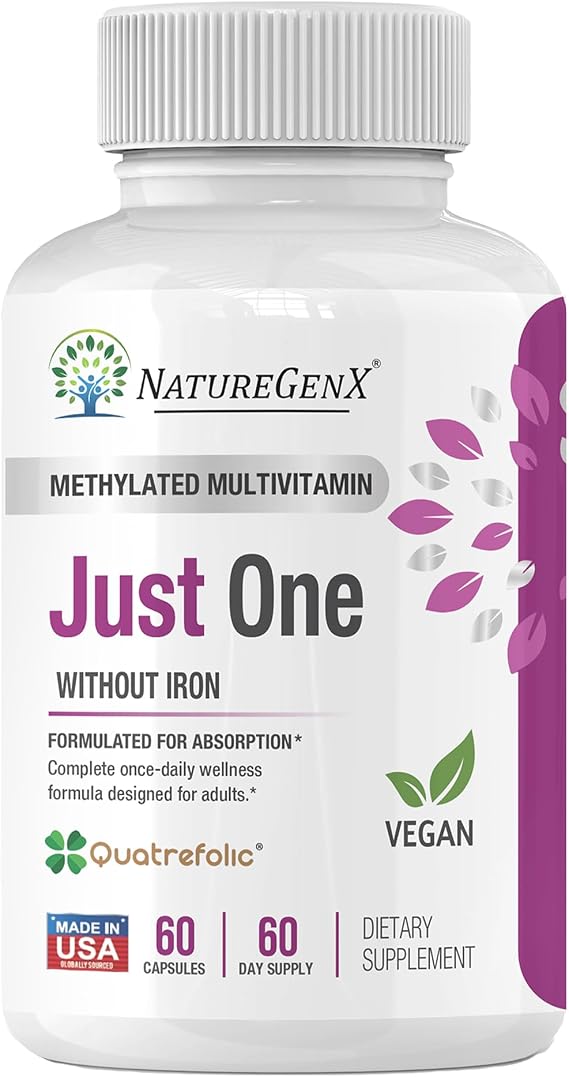 NatureGenX Just One Daily Methylated Multivitamin, 60 Capsules