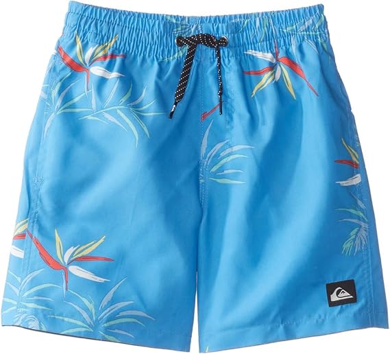 Quiksilver Boys Quiksilver Boy's Everyday Mix 12 Volley Boardshort Swim Trunk Boy