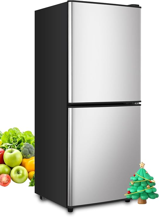 F.W.WOOLWORTHS 4.0 Cu.Ft Refrigerator with Freezer | Compact Fridge with 2 Doors for Office, Kitchen, Dorm and Bedroom, 7 Level Temp Adjustable Thermostat, Silver
