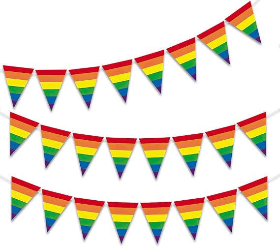25 Pcs Pride Bunting Flags, Pride Decorations Bunting Banner, 25 Triangle Flags Banner