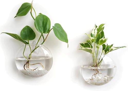 Mkono Wall Hanging Glass Terrariums Planter Oblate Flower Vase for Hydroponics Plants, Bathroom, Home Office Living Room Decor, Set of 2Plants not Included