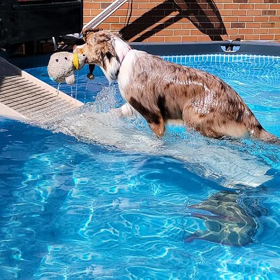 Dog Ramp for Pools - (Standard Legs, Khaki/Beige)- Small and Large Dog Pool Ramp for Above-Ground and In-Ground Pools
