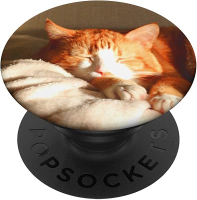 Cute Orange Ginger Cat Sleeping Sunset Gift For Cat Lovers PopSockets PopGrip: Swappable Grip for Phones & Tablets