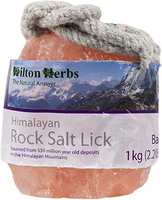 Hilton Herbs 26000 Himalayan Salt Lick, Baby 2.2lb