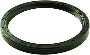 Ford Racing M-6701-B302 Rear Main Seal for 5.0L Engine
