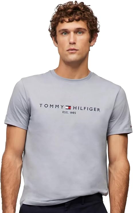 Tommy Hilfiger Mens Tommy Logo Tee