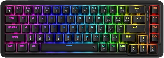 Redragon K709 65% Wired Gasket RGB Gaming Keyboard, 68 Keys Hot-Swap Compact Mechanical Keyboard w/Free-Mod Socket, 3-Layer Noise Dampening & Dedicated Arrow Keys, Quiet Custom Linear Switch
