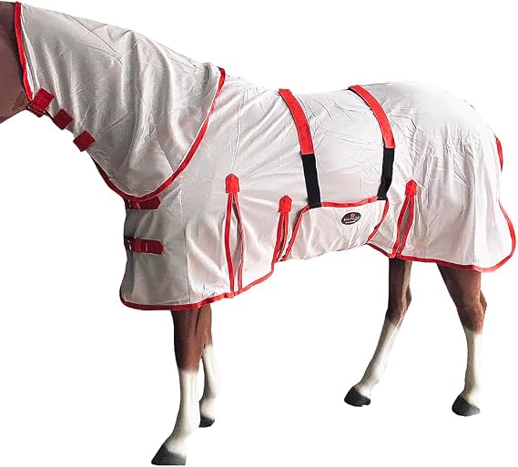 HILASON Horse Fly Sheet UV Protect Breathable Mesh Bug Mosquito Spring | Summer Horse Rug | Fly Rug