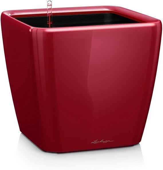 Lechuza Quadro LS 50 Scarlet Red High Gloss, Self-Watering Large Square Planter, H18.5 L19.7 W19.7 in