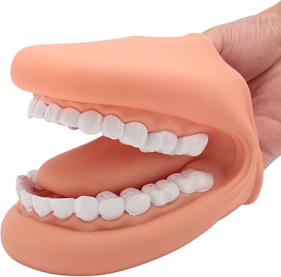 Mouth Puppet with Tongue Speech Learning, Soft Silicone Giant Teeth Demonstration Model, Mouth Model for Brushing Teeth, 28 Teeth