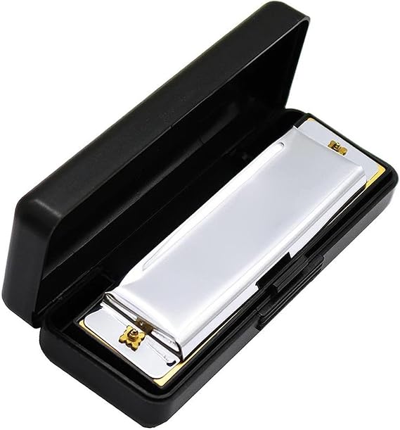 Beginners harmonica Silver/Gold 10 Hole 20 Tone Blues Harmonica For Professional Player Beginner With Case, Stainless Steel Mouth Organ(Silver)