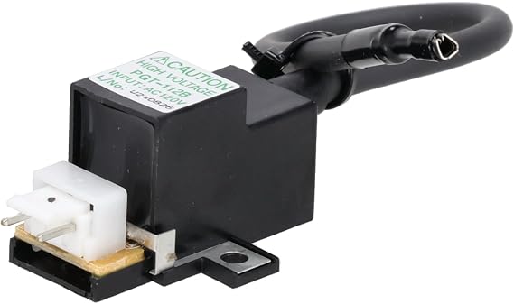 Rheem RTG20235BC Ignitor Coil