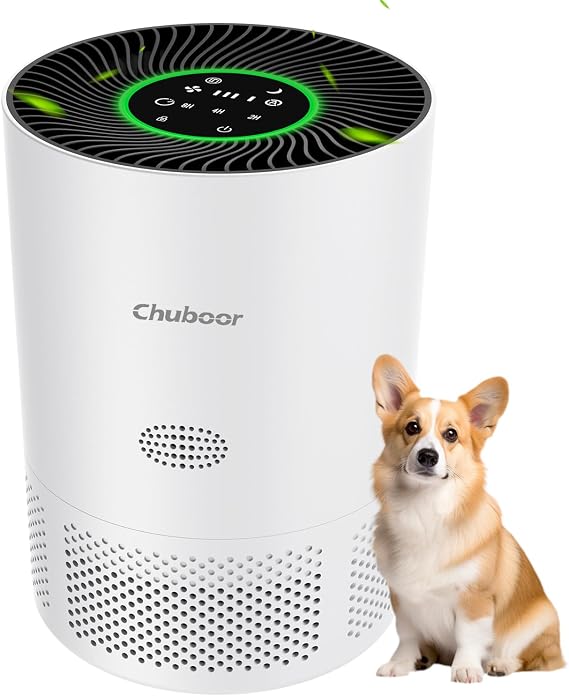Air Purifiers for Home Large Rooms, H13 True HEPA with Timer