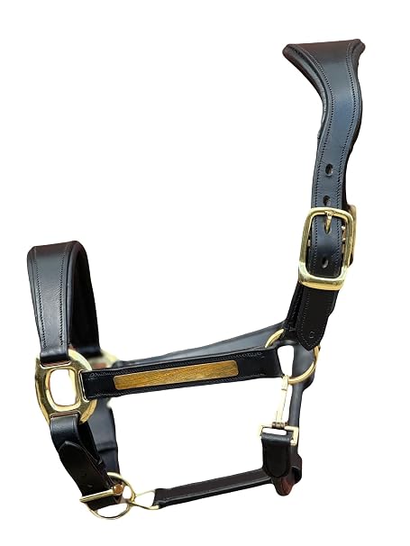 Anatomical Leather Headcollar, Supersoft Padded, Gold Fittings, Fully Adjustable (Black, Cob)