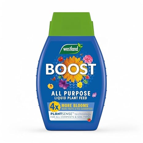 Westland Boost All Purpose Liquid Plant Food 1L Fast-Acting Fertilizer for Healthy Growth Vibrant Flowers Fruits & Vegetables Ideal for Garden Indoor & Outdoor Plants